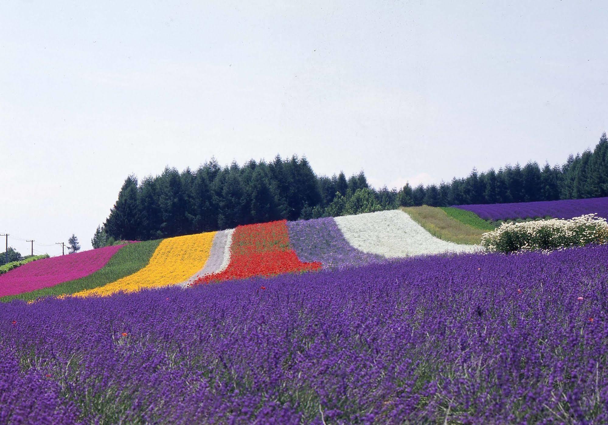 New Furano Hotel Zewnętrze zdjęcie